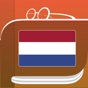 Dutch Dictionary & Thesaurus app download