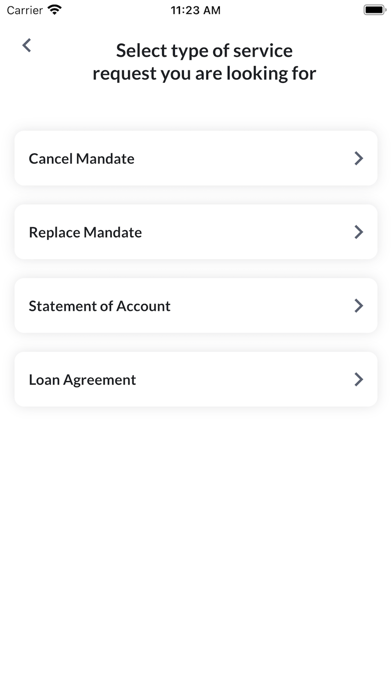 Mahindra Finance Consumer Loan Screenshot