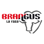 Brangus Paraguay