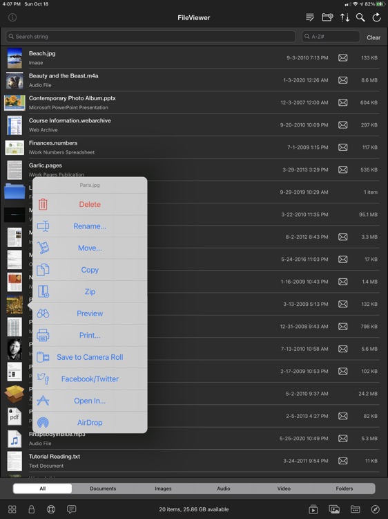 FileViewer XL for iPad