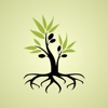 Hebraic Roots Discipleship icon