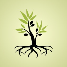 Hebraic Roots Discipleship