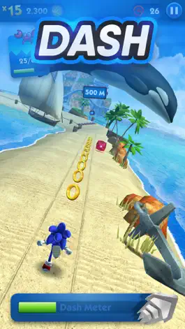 Game screenshot Sonic Dash Endless Runner Game hack