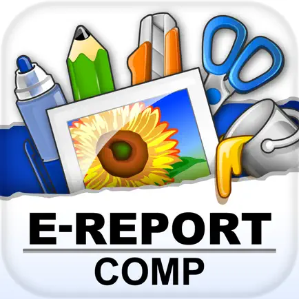 E-REPORT COMP Читы