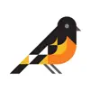 Oriole Stickers App Positive Reviews