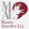 Amedeo Lia Museo in LIS icon