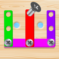 Screw Pin Puzzle Nuts Bolts