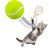 Similar Cat Sports Apps