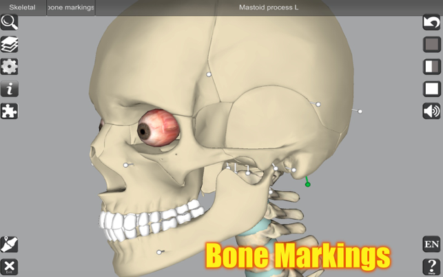 Snímek obrazovky 3D anatomie