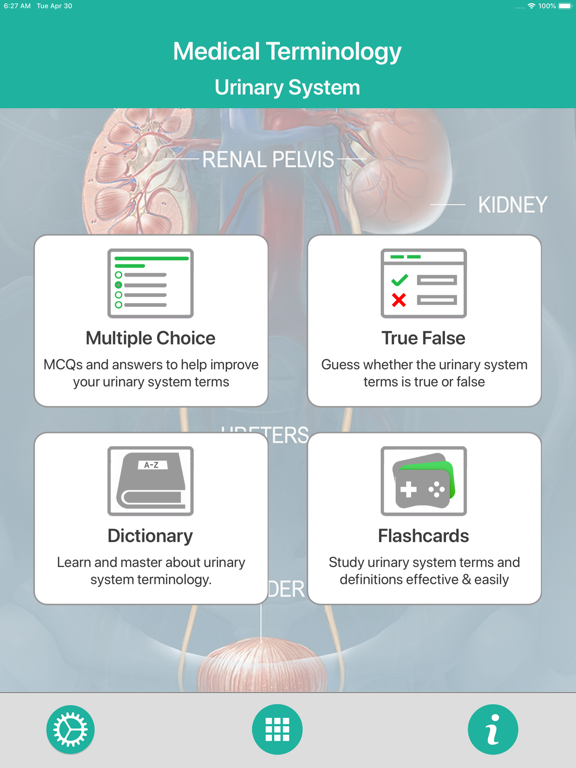 Screenshot #4 pour Urinary System Medical Terms