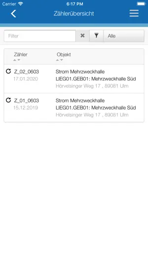 Mobile Zählerstandserfassung screenshot 2