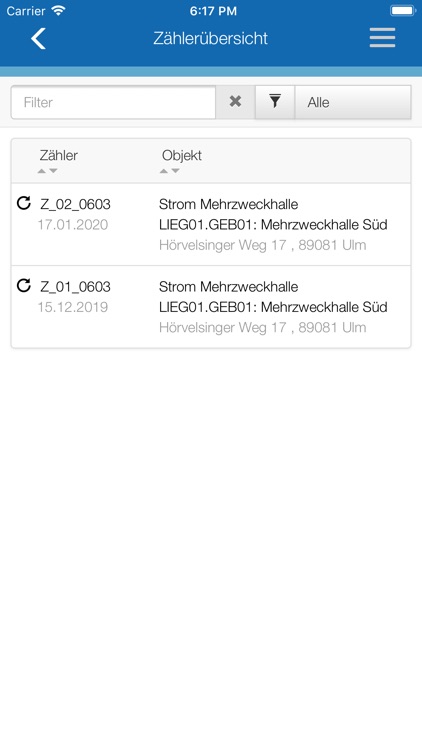 Mobile Zählerstandserfassung