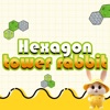 Hexagon Tower Rabbit icon