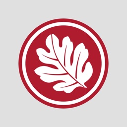 Rogue Disposal Mobile