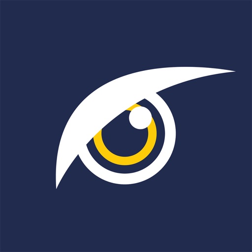 OwlSight - Видеонаблюдение