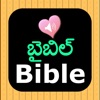 Telugu English Audio Bible icon