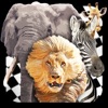 Savanna Race icon