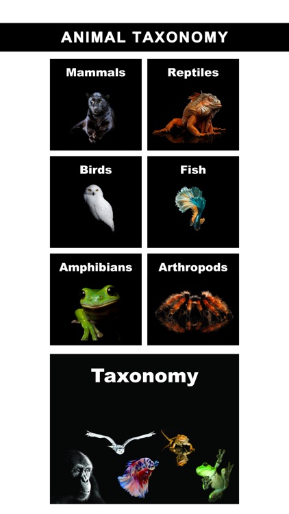 Animal Class screenshot-1