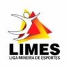 Limes icon