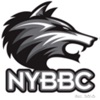 NYBBC Taekwondo icon