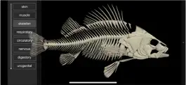 Game screenshot 3D Fish Anatomy apk