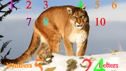 Wild Cats Sounds Screenshot