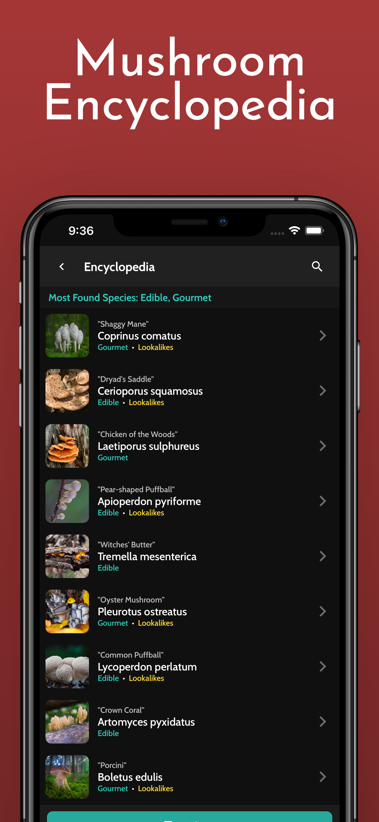ShroomID - Identify Mushrooms