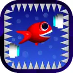 Fish Pong App Contact