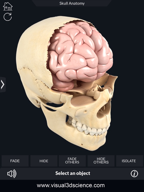 My Skull Anatomyのおすすめ画像6