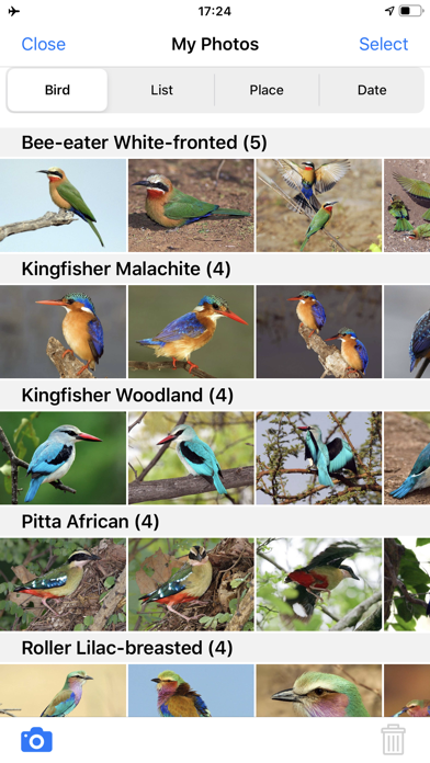 Roberts Bird Guide 2 iap Screenshot