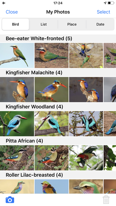 Roberts Bird Guide 2 iapのおすすめ画像7