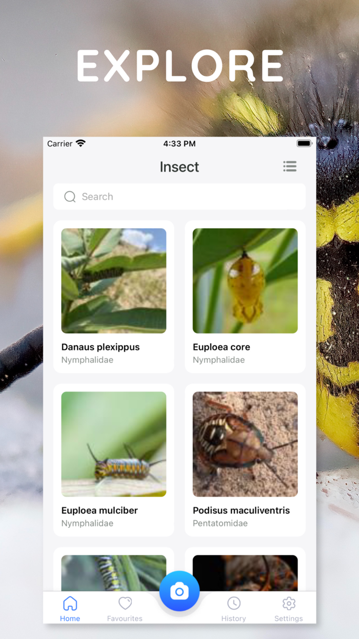 AI Photo App - Bug Identifier