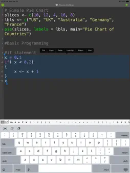 R Programming Compiler screenshot 9