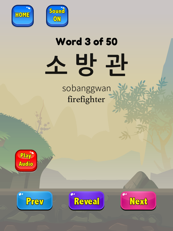 Korean Flashcards 2025 TOPIK iPad screenshot