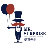 Mr Surprise logo