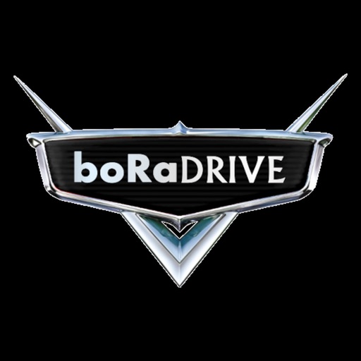 boRaDRIVE Passageiro icon