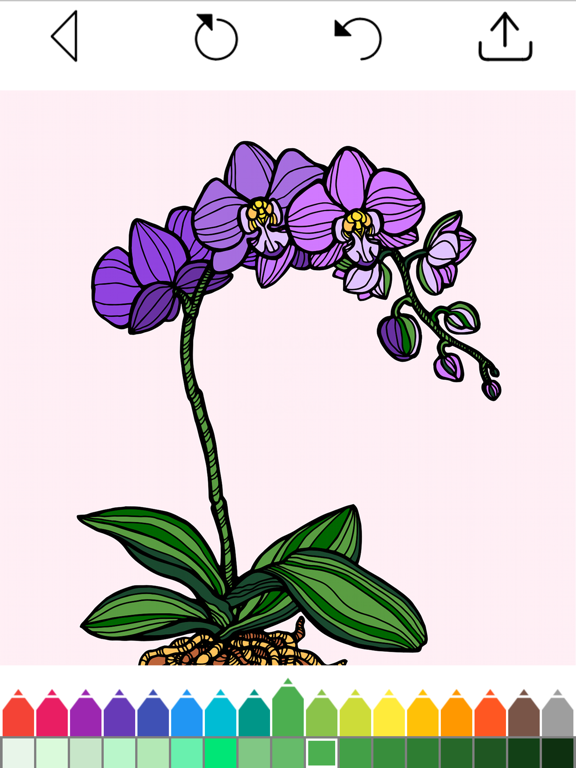 Screenshot #6 pour Livre de Coloriage de Fleurs