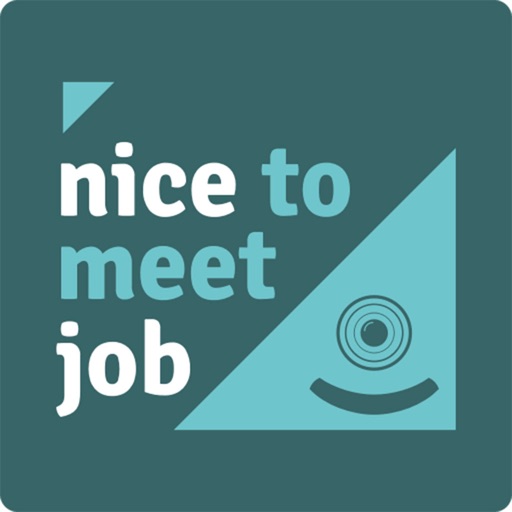 Nice To Meet Job