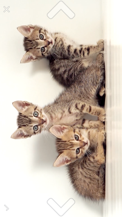 Video 2 Photo-HDのスクリーンショット - 8