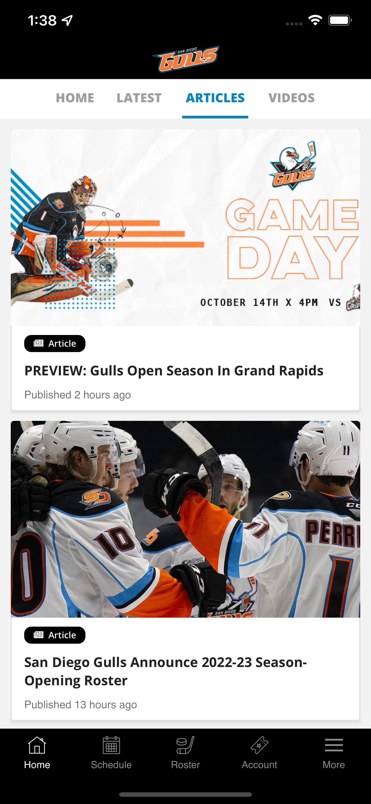 San Diego Gulls Hockey