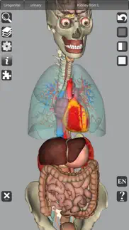 How to cancel & delete 3d bones and muscles (anatomy) 1