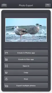 video 2 photo - hd iphone resimleri 4