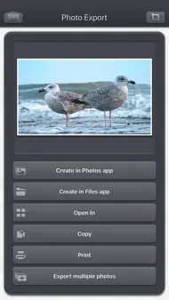 Video 2 Photo - HD iphone bilder 4