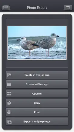 Video 2 Photo - HD iPhone image 4