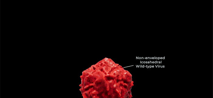 Turning Genes into Medicine