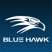 BlueHawkApp logo
