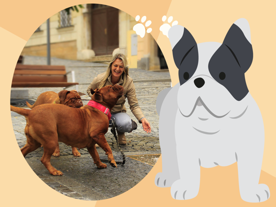 Dog Photo Frame iPad screenshot 4 - Photo & Video app