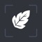 Icon Plany - Plant ID