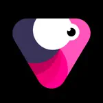 Velomingo: Velocity Edit Maker App Positive Reviews