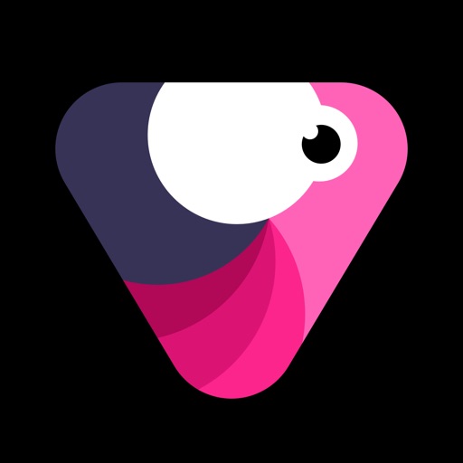 Velomingo: Velocity Edit Maker icon